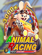 เว็บ ไพ่ ได้ เงิน จริงเครดิต ฟรี 123xbet: สูตรการเล่นที่คุณไม่ควรพลาด